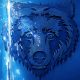 The Bear Season 3 (Complete)