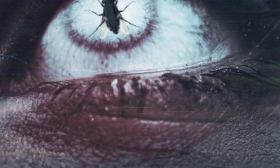 Visher (2024)
