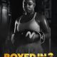 Boxed in 2 (2023)