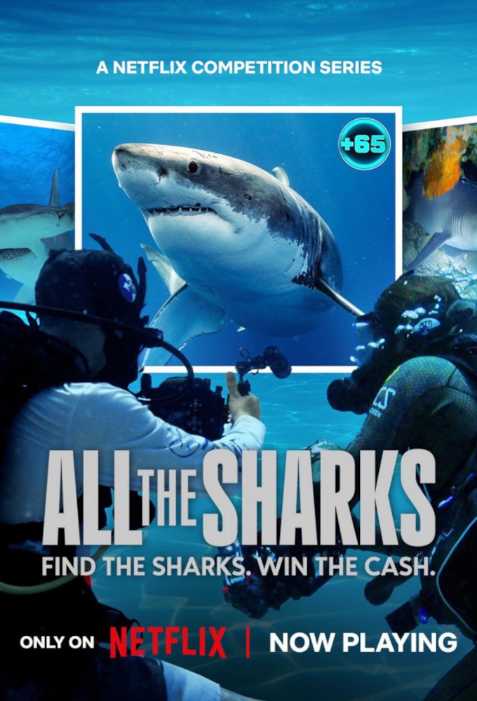 All the Shark Season 1