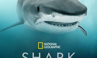 Shark Quest: Hunt For The Apex Predator Season 1 (Complete)
