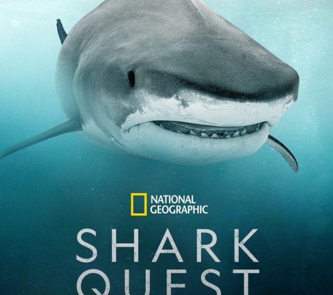 Shark Quest: Hunt For The Apex Predator Season 1 (Complete)