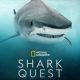 Shark Quest: Hunt For The Apex Predator Season 1 (Complete)