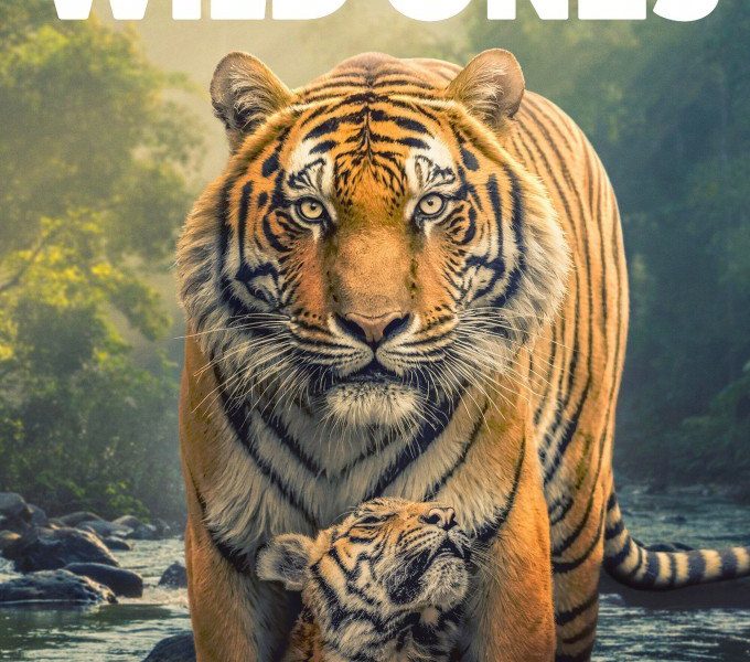 The Wild Ones Season 1 (Complete)