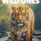 The Wild Ones Season 1 (Complete)