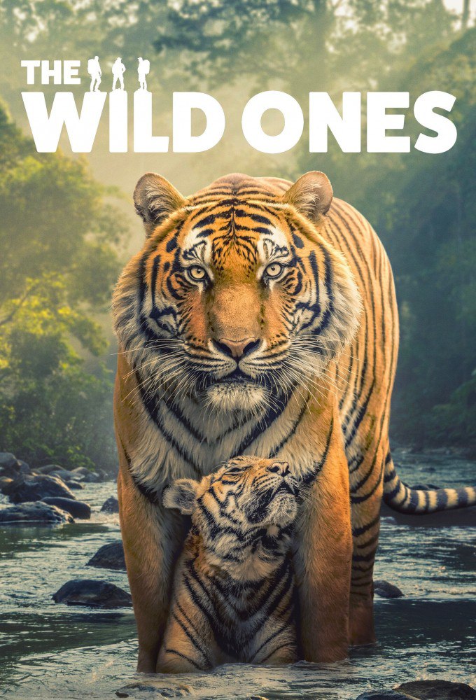 The Wild Ones Season 1 (Complete)