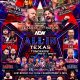 AEW: All In (2025)
