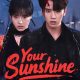 Your Sunshine Season 1 (Episode 1-22 Added) (Chinese Drama)