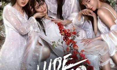Hide & Sis Season 1 (Episode 1-8 Added) (Thai Drama)