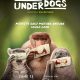 Underdogs Season 1