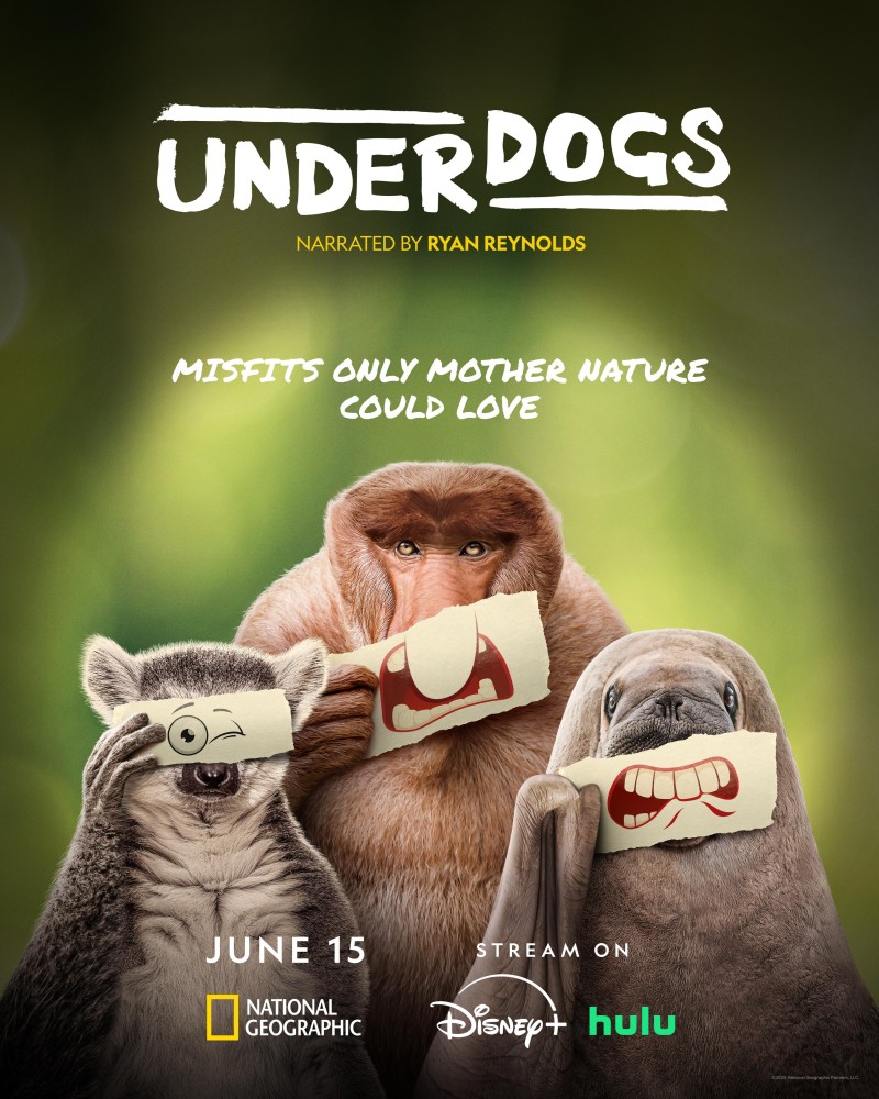Underdogs Season 1