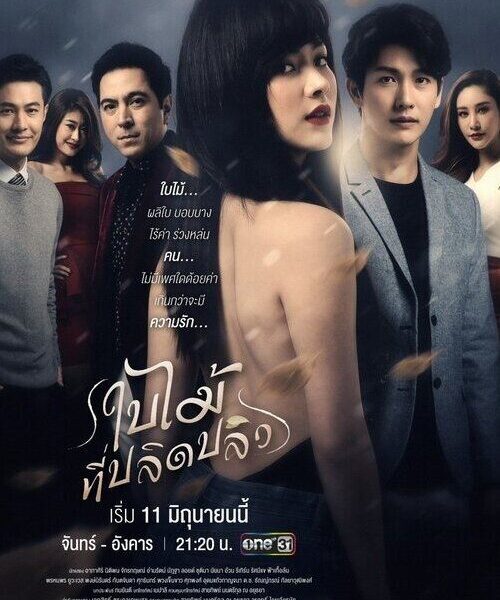 The Fallen Leaf Season 1 (Episode 5 – 12 Added) (Thai Drama)