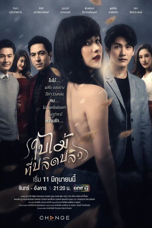 The Fallen Leaf Season 1 (Episode 5 – 12 Added) (Thai Drama)