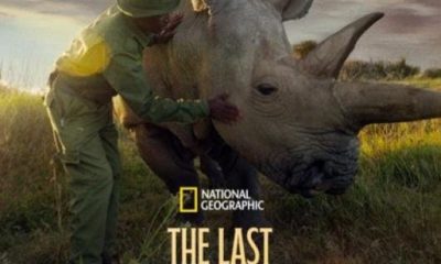 The Last Rhinos: A New Hope (2025)