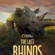 The Last Rhinos: A New Hope (2025)