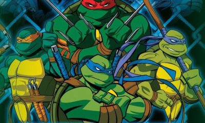 Teenage Mutant Ninja Turtles (2003) Season 1 – 7 (Complete)