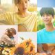 Midnight Sun (2025) – Korean