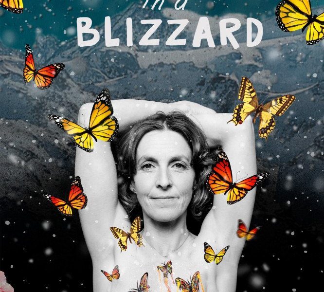 Butterfly In A Blizzard (2025)