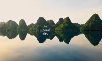 Coral City Season 1(Complete)