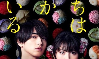 Cursed in Love Season 1 (Complete) (Japanese Drama)