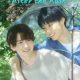 Stay By My Side After the Rain Season 1 (Complete) (Japanese Drama)
