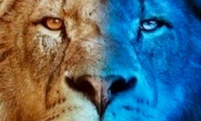 Big Cats 24/7 (2024) Season 2 (Episode 1 – 2 Added)