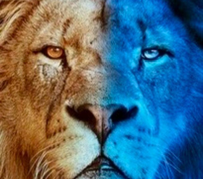 Big Cats 24/7 (2024) Season 2 (Episode 1 – 2 Added)