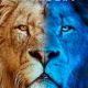 Big Cats 24/7 (2024) Season 2 (Episode 1 – 2 Added)