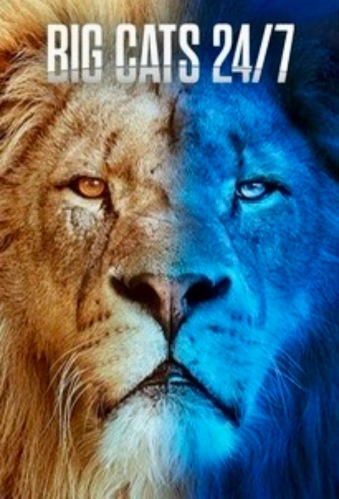 Big Cats 24/7 (2024) Season 2 (Episode 1 – 2 Added)