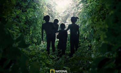 Lost in the Jungle (2025)